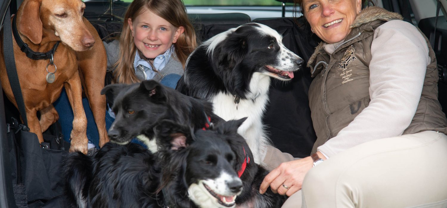 Unsere Hunde auf Reisen